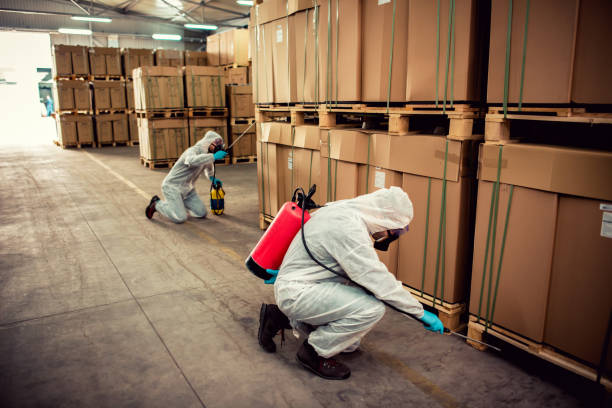 Best Mosquito Control Services  in Hagerstown, IN