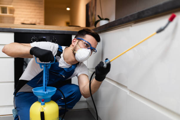 Best Pest Prevention Services  in Hagerstown, IN