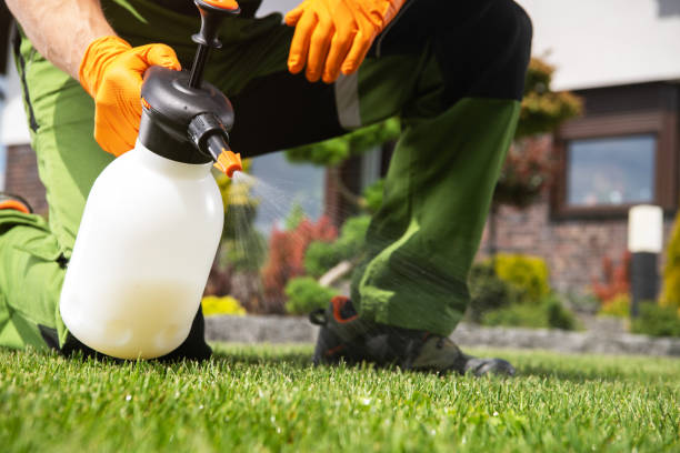 Best Exterminator Services  in Hagerstown, IN