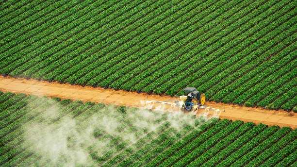 Best Affordable Exterminators  in Hagerstown, IN